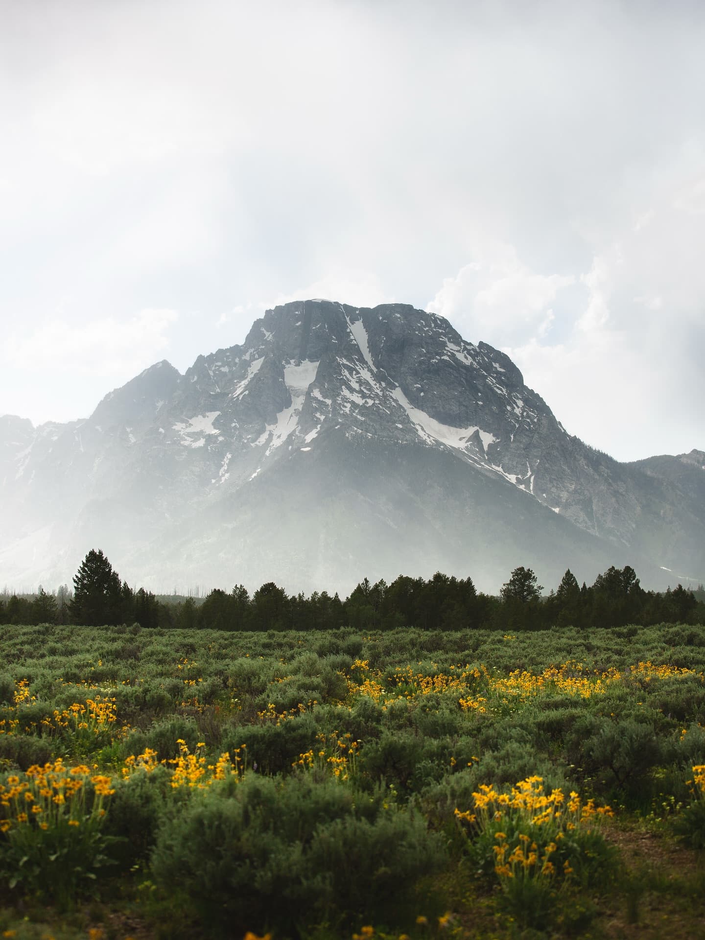 Mist of the Tetons