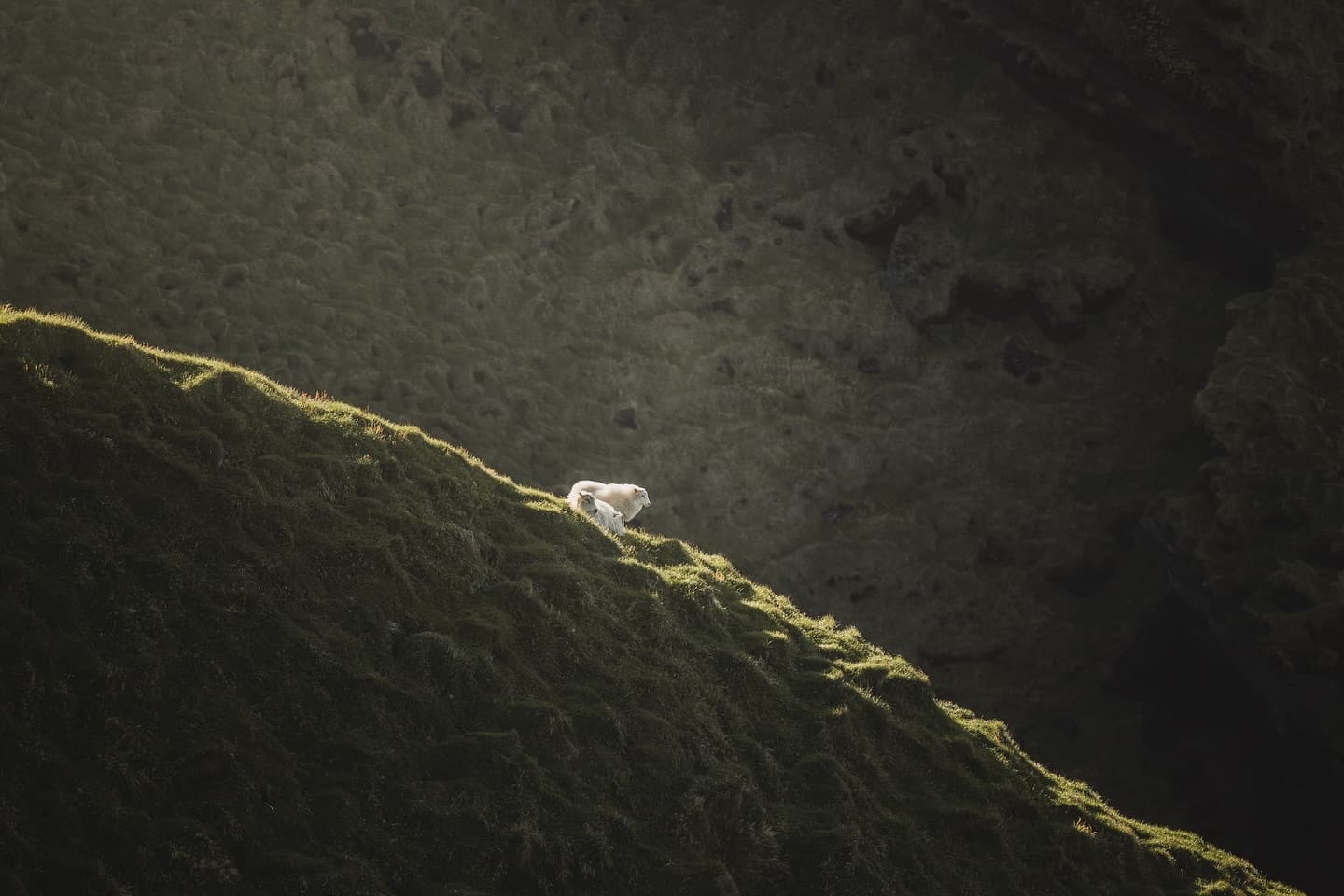 Solo Adventurer